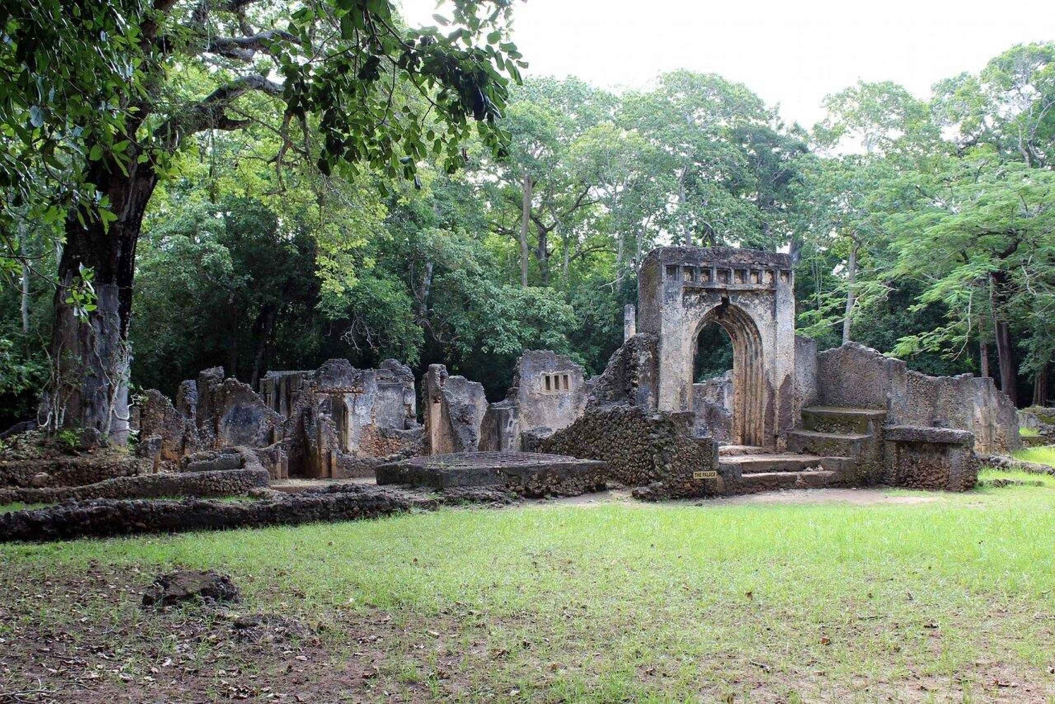 Malindi: Gedi Ruins and Arabuko Sokoke Forest Tour