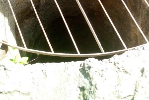 Malindi: Gedi Ruins and Arabuko Sokoke Forest Tour