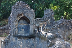 Malindi: Gedi Ruins and Arabuko Sokoke Forest Tour