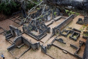 Malindi: Gedi Ruins and Arabuko Sokoke Forest Tour