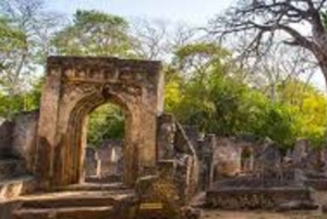 Malindi: Gedi Ruins and Arabuko Sokoke Forest Tour