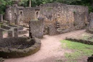 Malindi: Gedi Ruins and Arabuko Sokoke Forest Tour