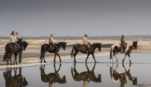 MALO Stables