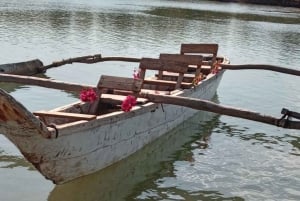 wycieczka po namorzynach