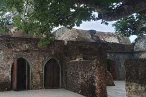 wycieczka po namorzynach