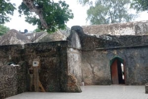 wycieczka po namorzynach