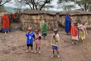 Masai Cultural Village Day Tour From From Nairobi