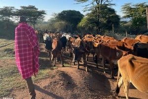 Masai Cultural Village Day Tour With Traditional Dance Show