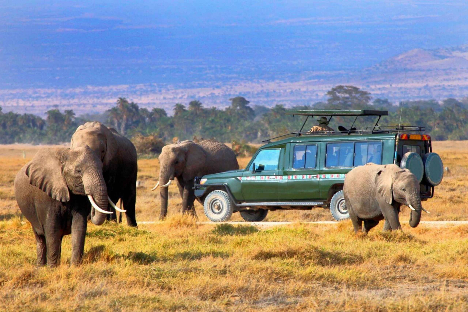 Masai Mara: 2 daagse privé-safari in een 4x4 landcruiser