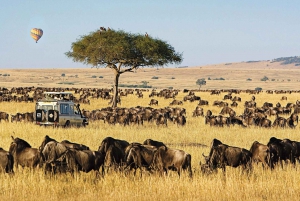 Masai Mara: 2 dni 1 noc prywatnego safari z Nairobi