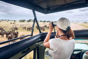 Masai Mara 3-daagse kampeersafari per 4x4 Landcruiser Jeep