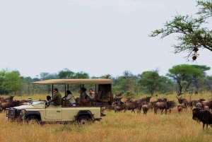 Masai Mara 3-tägige Campingsafari im 4x4 Land Cruiser Jeep