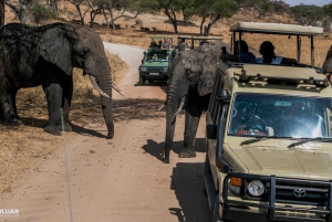 Masai Mara 3-dagars campingsafari med 4x4 Land Cruiser Jeep