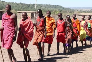 Masai Mara: 3 Days 2 nights Private Safari in a 4X4 Jeep