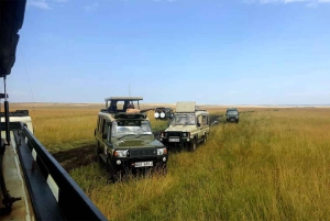 Masai Mara: 3 Days 2 nights Private Safari in a 4X4 Jeep
