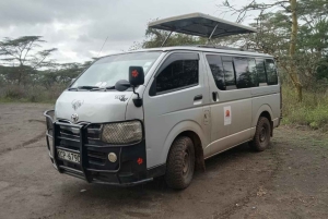Masai Mara from Nairobi Transfer