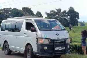 Traslado de Masai Mara a partir de Nairóbi