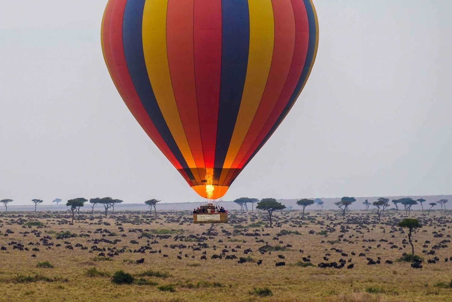 Masai Mara: Hot Air Balloon Safari with Champagne Breakfast