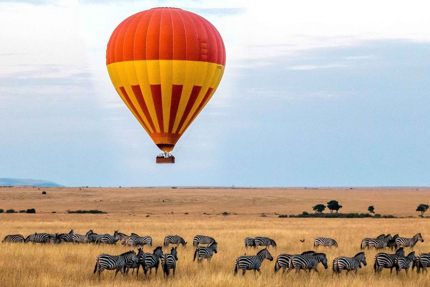 Safari en montgolfière dans le Masai Mara avec petit-déjeuner au champagne