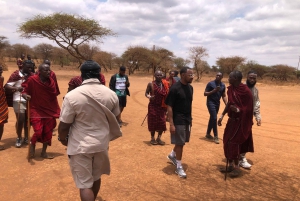 From Nairobi to Masai Mara Reserve & Village visit Day trip