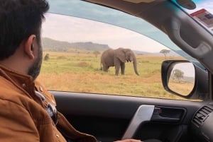From Nairobi to Masai Mara Reserve & Village visit Day trip