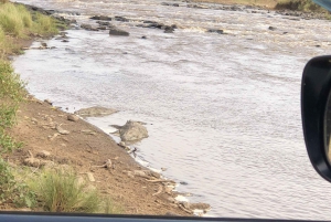 From Nairobi to Masai Mara Reserve & Village visit Day trip