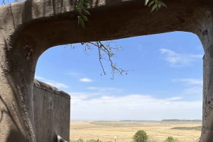 From Nairobi to Masai Mara Reserve & Village visit Day trip