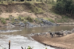 From Nairobi to Masai Mara Reserve & Village visit Day trip