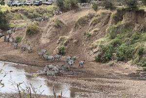 From Nairobi to Masai Mara Reserve & Village visit Day trip