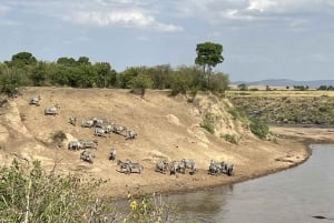 From Nairobi to Masai Mara Reserve & Village visit Day trip