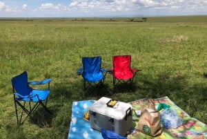 From Nairobi to Masai Mara Reserve & Village visit Day trip