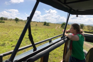 From Nairobi to Masai Mara Reserve & Village visit Day trip