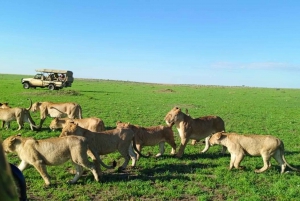 From Nairobi to Masai Mara Reserve & Village visit Day trip