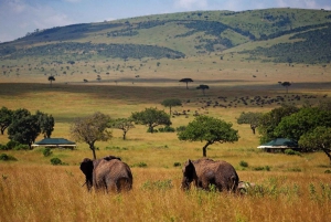 Masai Mara National Reserve;Tour