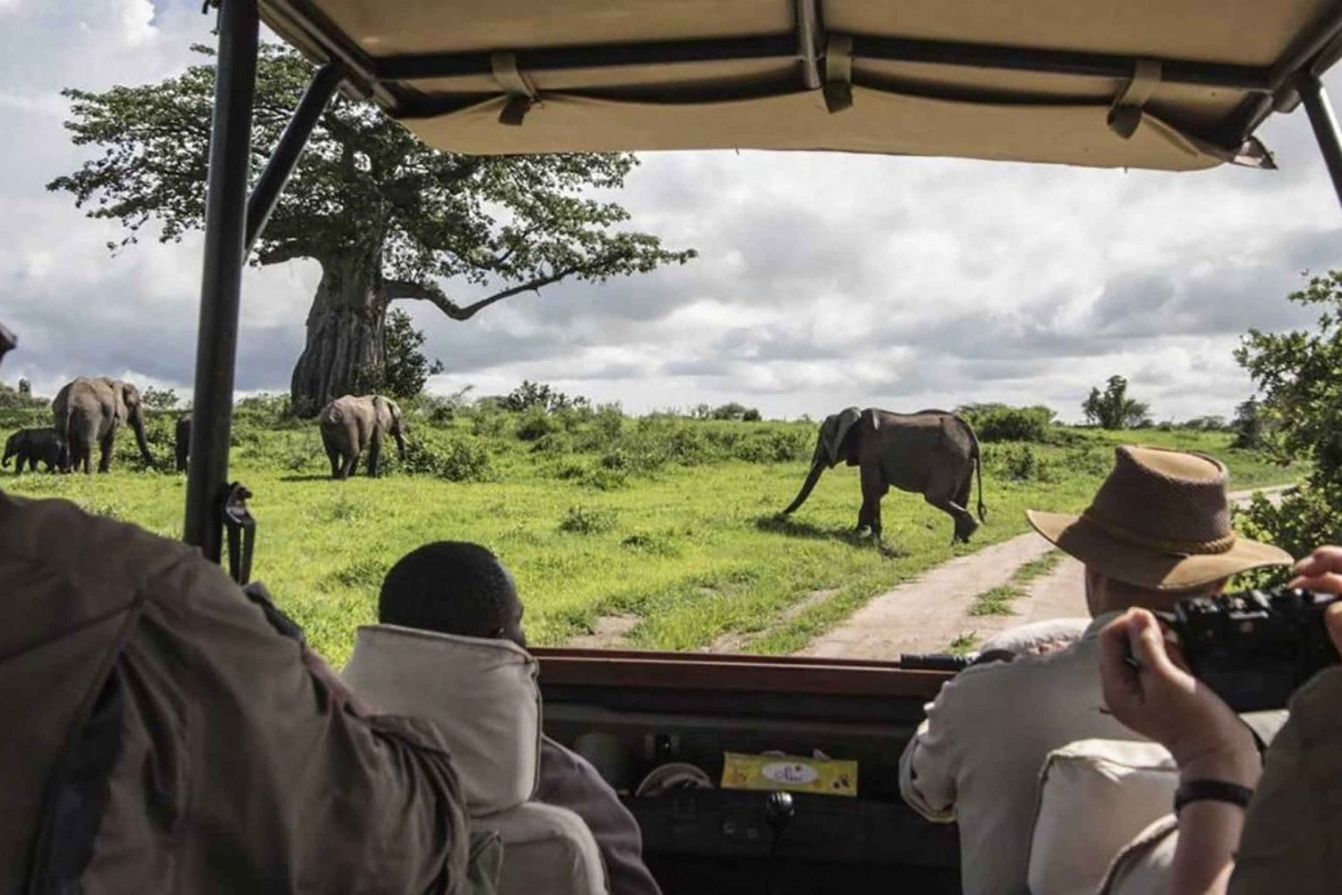 Masai Mara: Safári de 4 dias com a Grande Migração dos Gnus