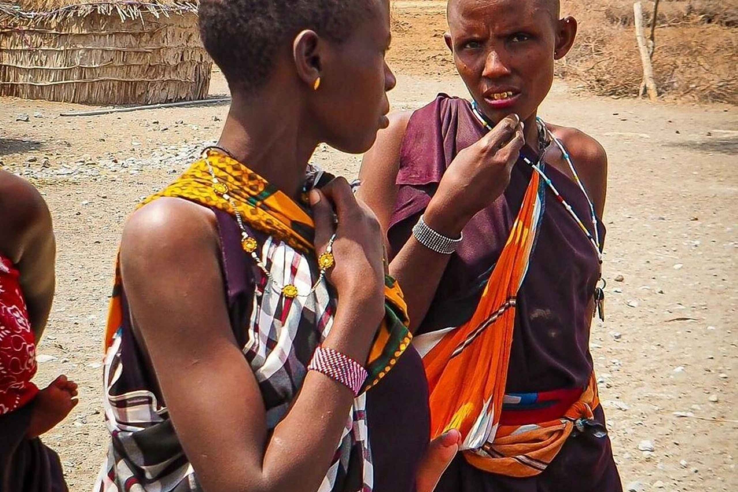 TOUR DI UN GIORNO DELL'ESPERIENZA CULTURALE DEL VILLAGGIO MASAI.