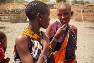 TOUR DI UN GIORNO DELL'ESPERIENZA CULTURALE DEL VILLAGGIO MASAI.