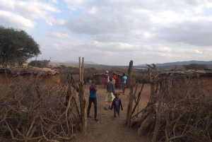 TOUR DI UN GIORNO DELL'ESPERIENZA CULTURALE DEL VILLAGGIO MASAI.