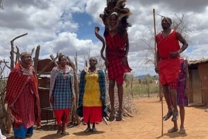 TOUR DI UN GIORNO DELL'ESPERIENZA CULTURALE DEL VILLAGGIO MASAI.