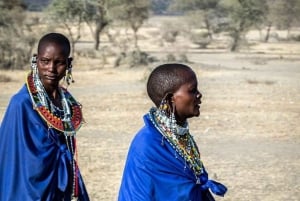 TOUR DI UN GIORNO DELL'ESPERIENZA CULTURALE DEL VILLAGGIO MASAI.
