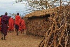 MASAI-DORP CULTURELE ERVARING DAGTOCHT.