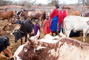 MASAI-DORP CULTURELE ERVARING DAGTOCHT.