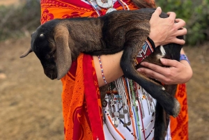 MASAI-DORP CULTURELE ERVARING DAGTOCHT.