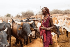 MASAI-DORP CULTURELE ERVARING DAGTOCHT.