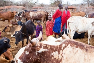MASAI-DORP CULTURELE ERVARING DAGTOCHT.