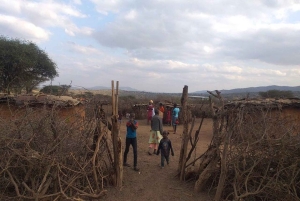 TOUR DI UN GIORNO DELL'ESPERIENZA CULTURALE DEL VILLAGGIO MASAI.