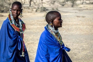 TOUR DI UN GIORNO DELL'ESPERIENZA CULTURALE DEL VILLAGGIO MASAI.