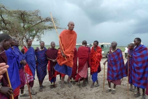 TOUR DI UN GIORNO DELL'ESPERIENZA CULTURALE DEL VILLAGGIO MASAI.