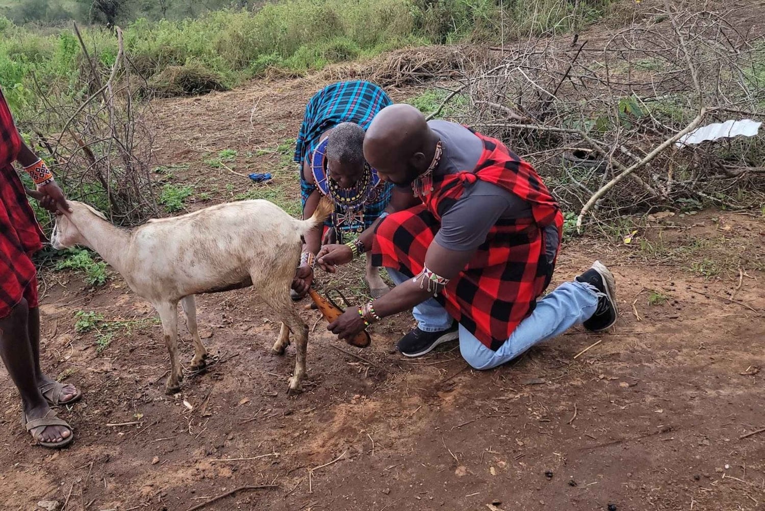 Masai Village Experience (dagstur)