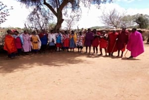Masai Village Experience (Day trip)